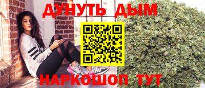 винт Тара