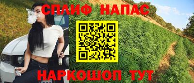 винт Тара