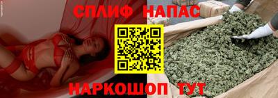 винт Тара